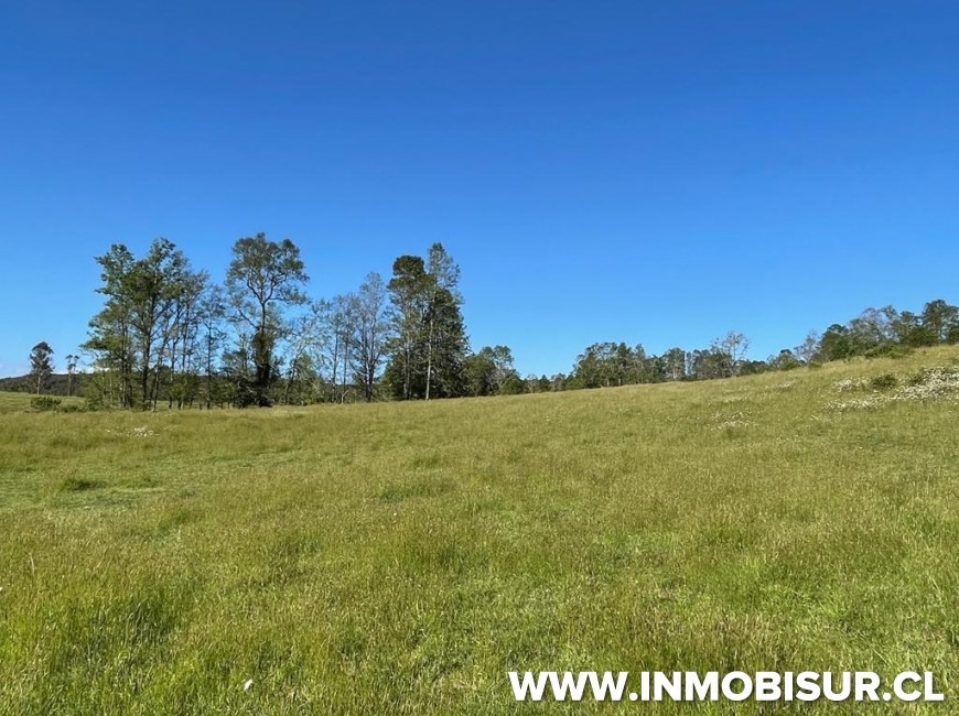 Venta en Fresia | Loteo de 50 parcelas terminadas para venta