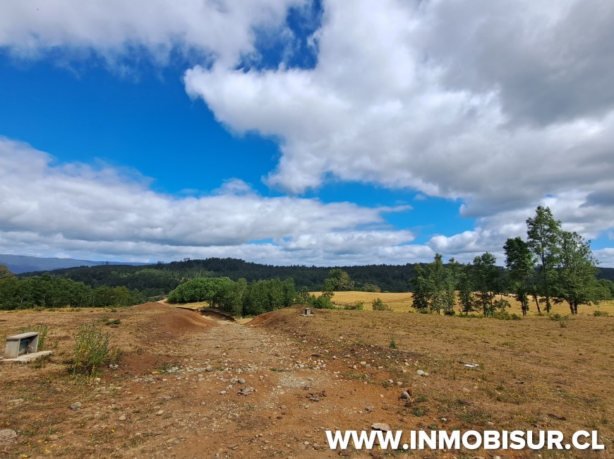 Venta en Fresia | Loteo de 50 parcelas terminadas para venta