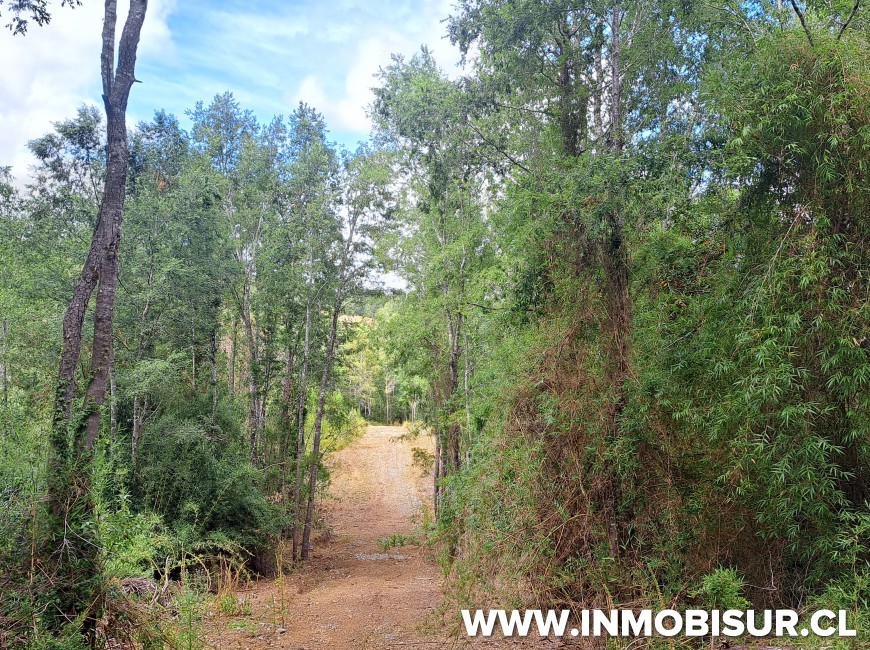 Venta en Fresia | Loteo de 50 parcelas terminadas para venta