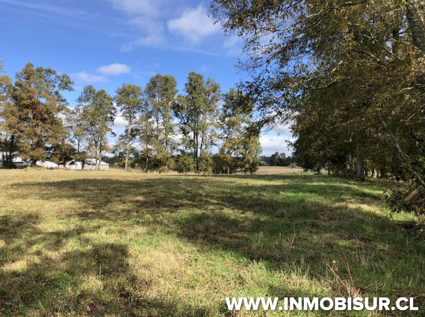 Venta en Puerto Varas | Campo de 3 ha en río Frío a 40 km de Puerto Varas