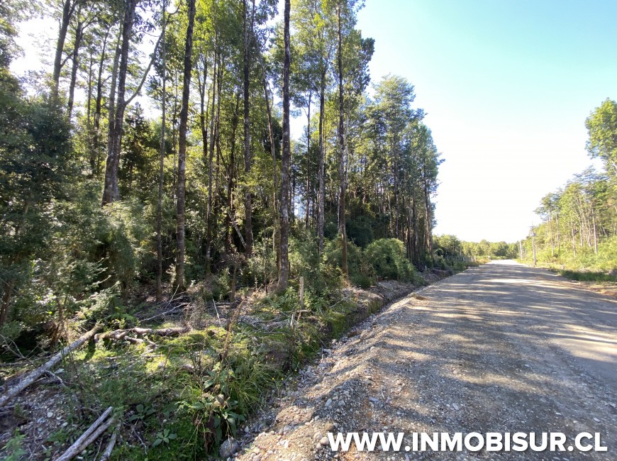 Venta en Puerto Varas | Parcela a la venta en Proyecto la Cascada, Puerto Varas