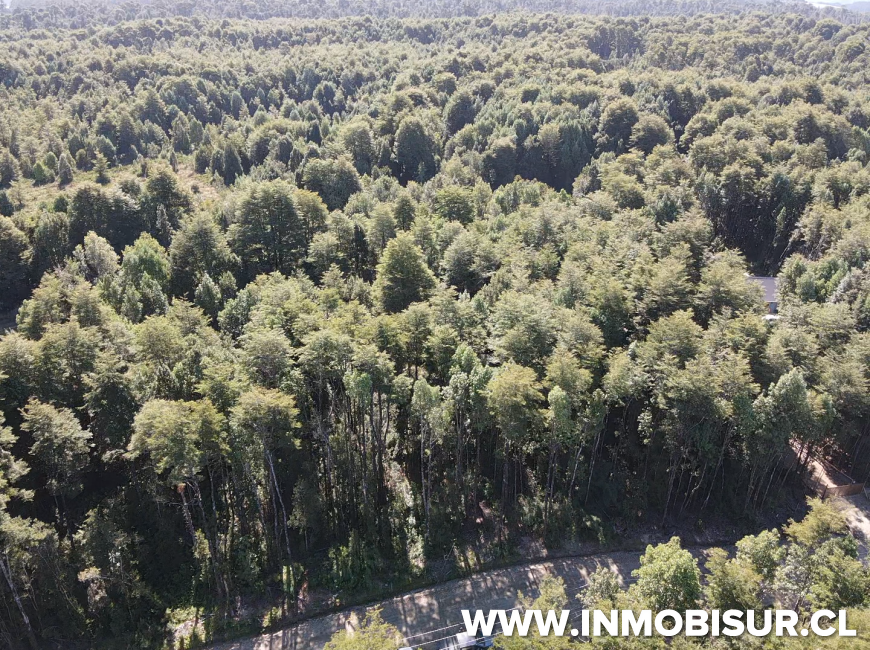 Venta en Puerto Varas | Parcela a la venta en Proyecto la Cascada, Puerto Varas
