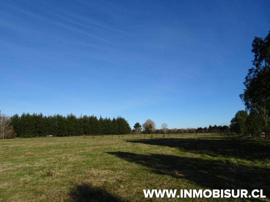 Venta en Frutillar | Parcelas Campo Frutillar