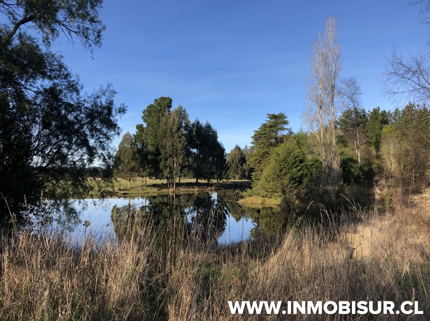 Venta en Frutillar | Parcelas Campo Frutillar