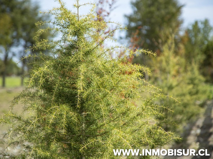 Venta en Puerto Montt | Parcelas Riberas de Chamiza