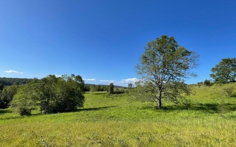 Venta en Fresia | Loteo de 50 parcelas terminadas para venta en 257 | Loteo de 50 parcelas terminadas para venta