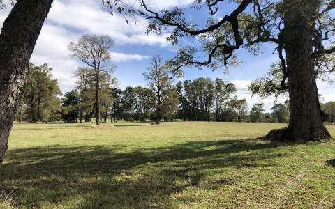 Venta en Puerto Varas | Campo de 3 ha en río Frío a 40 km de Puerto Varas en 252 | Campo de 3 ha en río Frío a 40 km de Puerto Varas