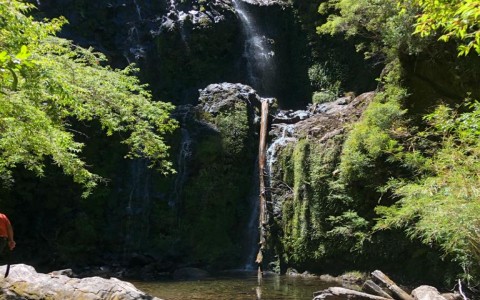 Venta en Puerto Varas | Campo en venta en sector de Colonia Río Sur en 252 | Campo en venta en sector de Colonia Río Sur