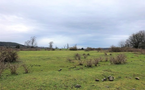 Venta en Puerto Varas | En venta Terreno de 2,55 Ha en Fresia en 252 | En venta Terreno de 2,55 Ha en Fresia