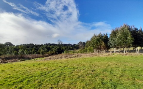 Venta en Fresia | Linda parcela a la venta en Fresia en 257 | Linda parcela a la venta en Fresia