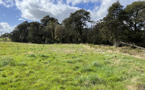 Venta en Puerto Varas | Parcela a la venta en Brisas de Loncotoro en 252 | Parcela a la venta en Brisas de Loncotoro