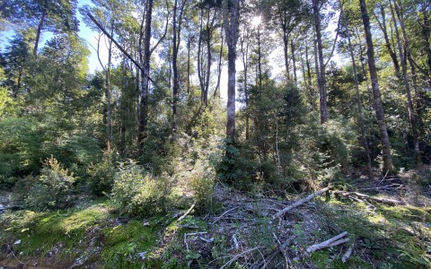 Venta en Puerto Varas | Parcela a la venta en Proyecto la Cascada, Puerto Varas en 252 | Parcela a la venta en Proyecto la Cascada, Puerto Varas