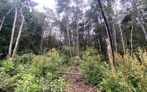 Venta en Puerto Varas | Parcela a la venta Loteo la Cascada Puerto Varas en 252 | Parcela a la venta Loteo la Cascada Puerto Varas