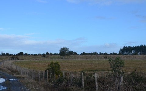 Venta en Puerto Montt | Parcela en Panitao Alto en 251 | Parcela en Panitao Alto