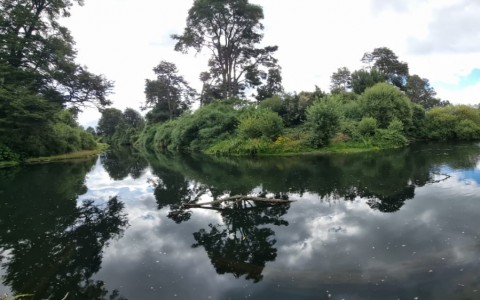 Venta en Puerto Montt | Parcelación Hacienda Doña Erika, Camino a Las Lomas en 251 | Parcelación Hacienda Doña Erika, Camino a Las Lomas