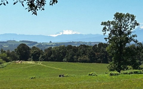 Venta en Puerto Varas | Proyecto de parcelas Reserva Los Manantiales Puerto Varas en 252 | Proyecto de parcelas Reserva Los Manantiales Puerto Varas