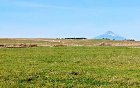 Venta en Llanquihue | Ven a vivir a tu parcela en un mes mientras se construye tu casa! en 258 | Ven a vivir a tu parcela en un mes mientras se construye tu casa!