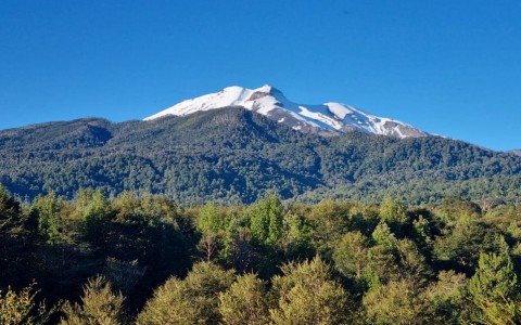 Venta en Puerto Varas | Venta de lindo campo en sector Rio Chico en 252 | Venta de lindo campo en sector Rio Chico